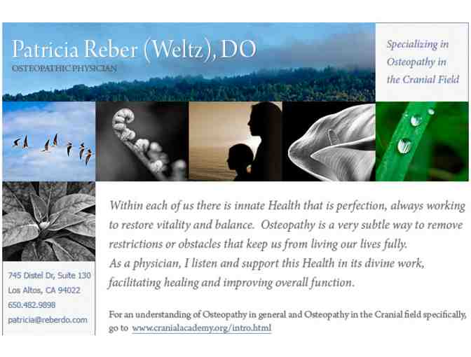 Osteopathic & Anthroposophical New Patient Visit- Los Altos