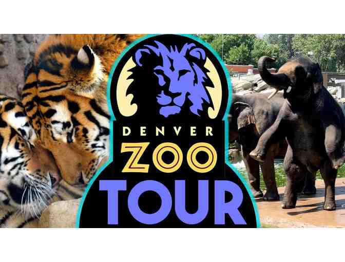 Family Fun Adventure Pack