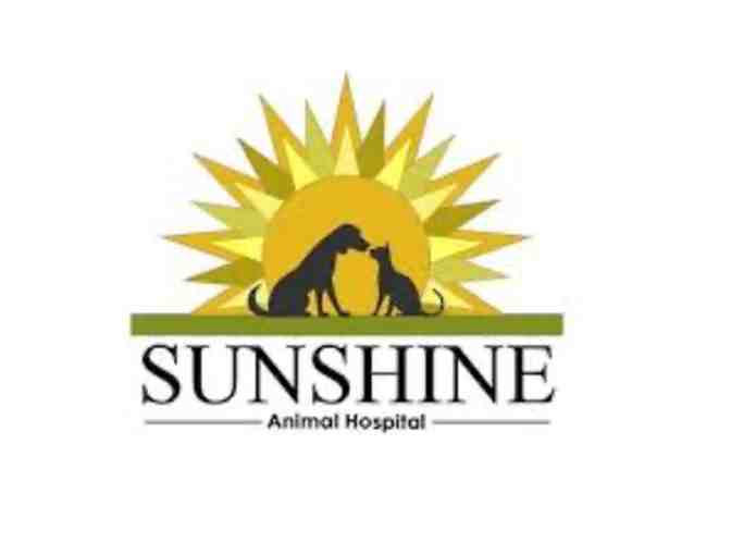 Pampered Pet Package