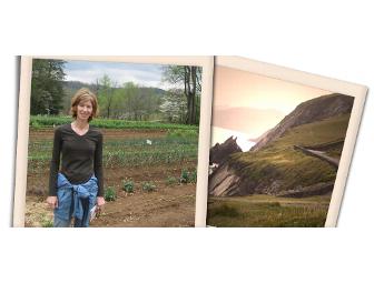 A Private Wine Tasting for 10 Hosted by Food & Wine Writer Katie Bell (wine included!)