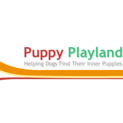 Puppy Playland