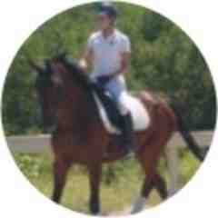LMS Dressage
