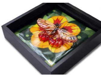 'Glasswing' by Wesley R. Wong