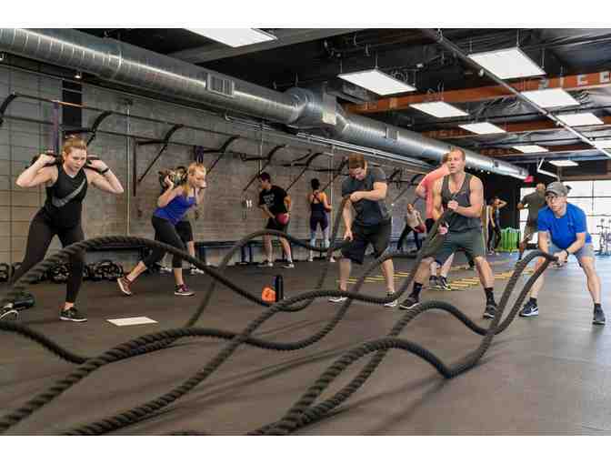 Put Your BODI to the Test