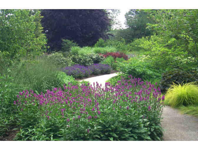 The Morton Arboretum (4 Daily Admission Passes)- Lisle, IL