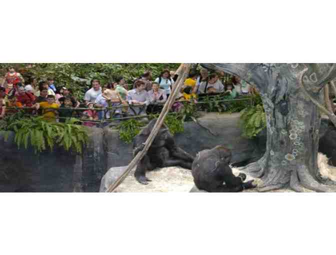 Brookfield Zoo - One Family Admission Package