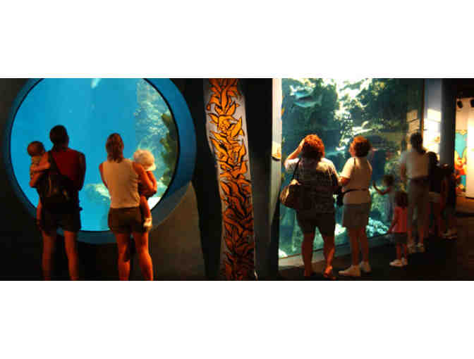 Brookfield Zoo - One Family Admission Package