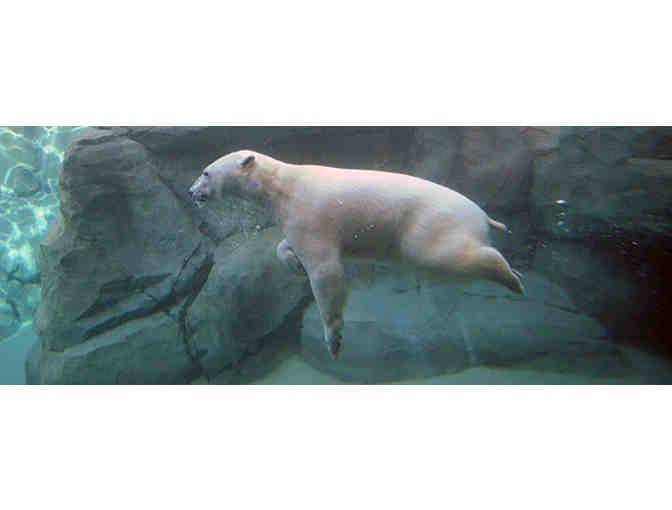 Brookfield Zoo - One Family Admission Package