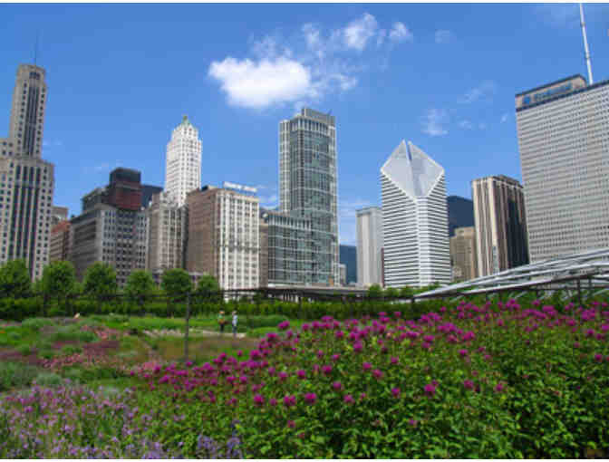 Chicago Architecture Foundation - 4 Guest Passes for Walking Tour