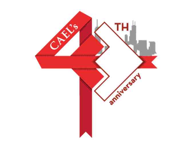 One Day of Consulting with Pamela Tate, President and CEO of CAEL