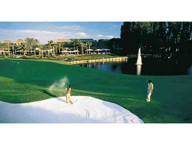 One-Week Condo Stay in the Four-Star Saddlebrook Golf and Tennis Resort, Tampa, Florida.