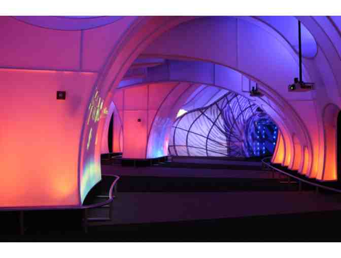 Adler Planetarium in Chicago (General Admission for 4)