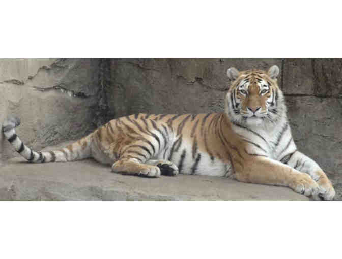 4 General Admissions to Brookfield Zoo - Chicago
