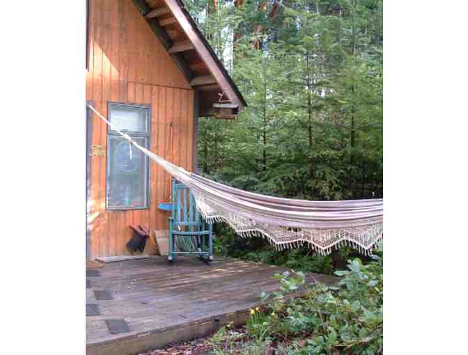 A Week on the Beautiful BC West Coast In a Rustic Cabin in the Woods on Mayne Island