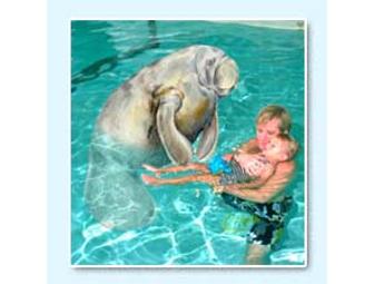 SwimJim - 6 Weeks of Swimming Class