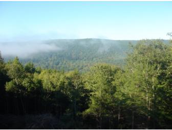 Delaware River Catskill Cabin -- 3 day/night Getaway