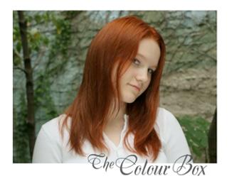 Desmond LTD/The Color Box Hair Salon - $100 Gift Certificate