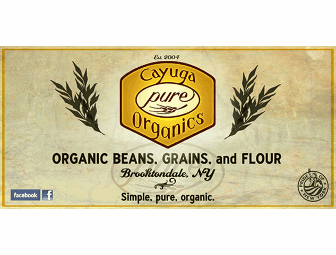 2 pounds/bags of Organic Jacob's Cattle Beans