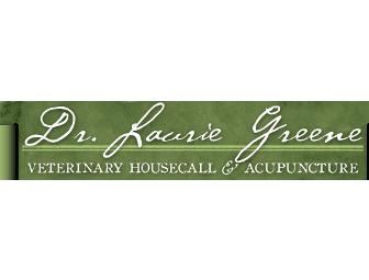 Veterinary House Call Exam OR Acupuncture