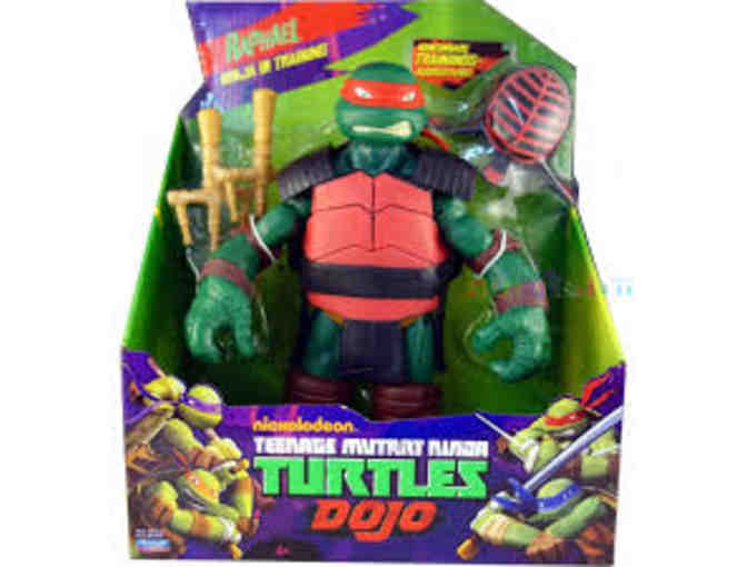 Teenage Mutant Ninja Turtles Dojo In Training -  Raphael