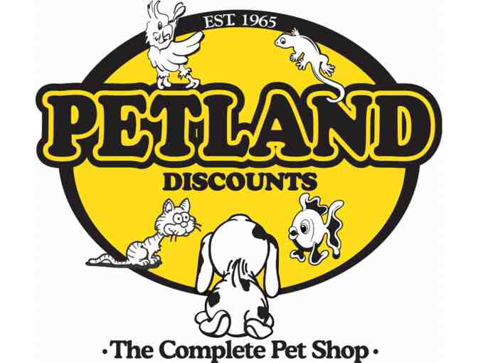 Petland Discounts: Kittie Kit