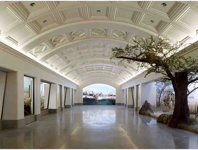 California Academy of Science - Four General Admission Tickets