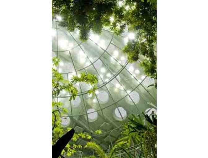 California Academy of Science - Four General Admission Tickets