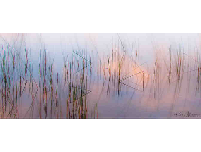 16 x 24 canvas print Reeds - Photo 1