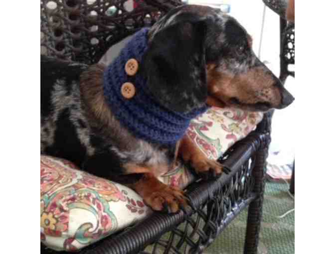 CRAYONS Dog Cowl Neck-Warmer (Size Small)
