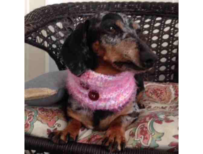 FURRY VARIEGATED PINK Dog Cowl Neck-Warmer (Size Small)