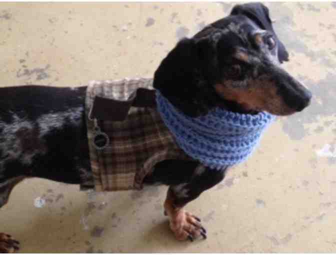 CRAYONS Dog Cowl Neck-Warmer (Size Small)