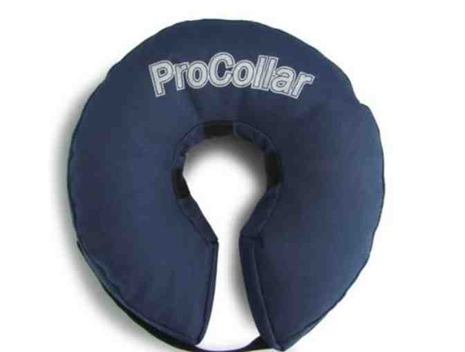 Inflatable Collar (E Collar)