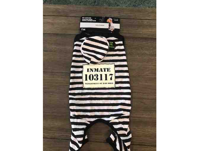 Inmate Pet Costume (Size Med)