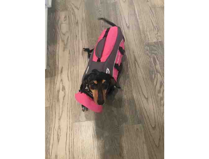 Pink O'Rageous pet life jacket