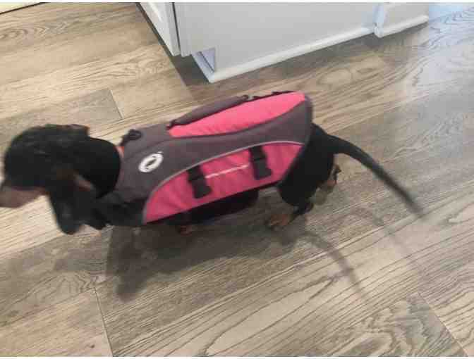 Pink O'Rageous pet life jacket