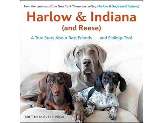 Harlow & Indiana (and Reese), A True Story About Best Friends...and Siblings Too!