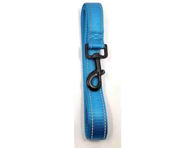 Harness, Collar and Leash Set from doxinmotion.co !!  In BLUE!!!  ALL THREE!!!