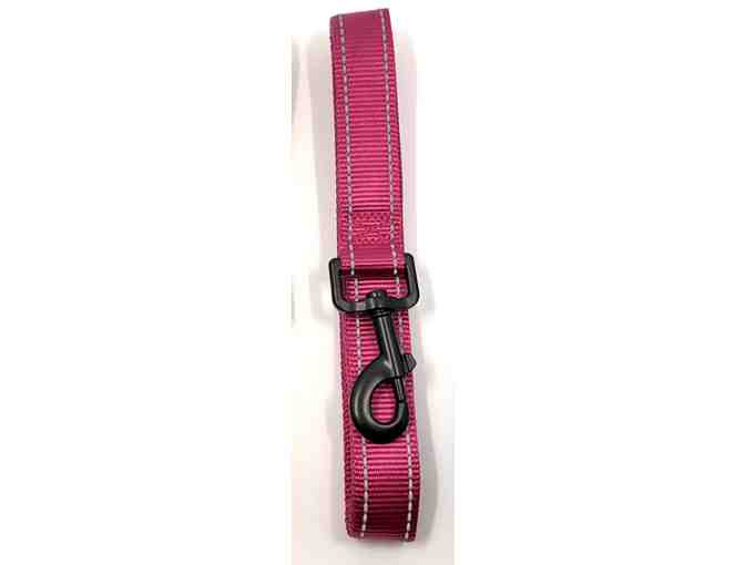Harness, Collar and Leash Set from doxinmotion.co !!  In PINK!!!  ALL THREE!!!