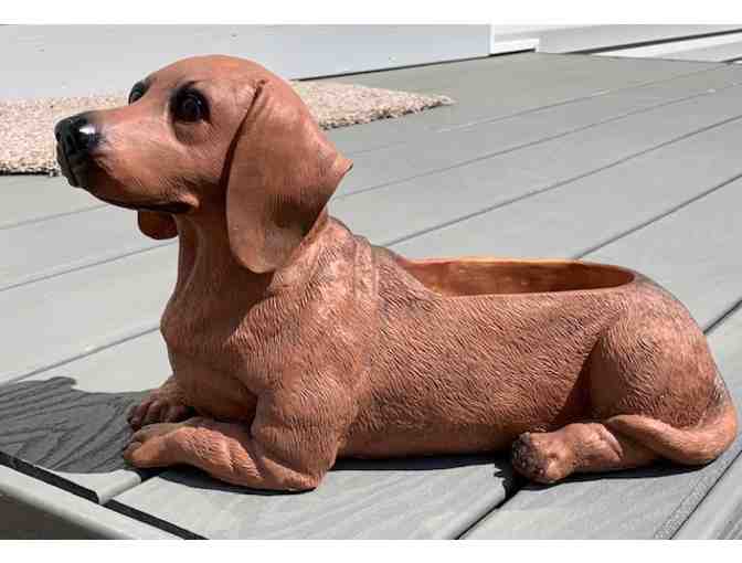 Planter!  Poly-stone Dachshund Patio Planter by Continental Creations!