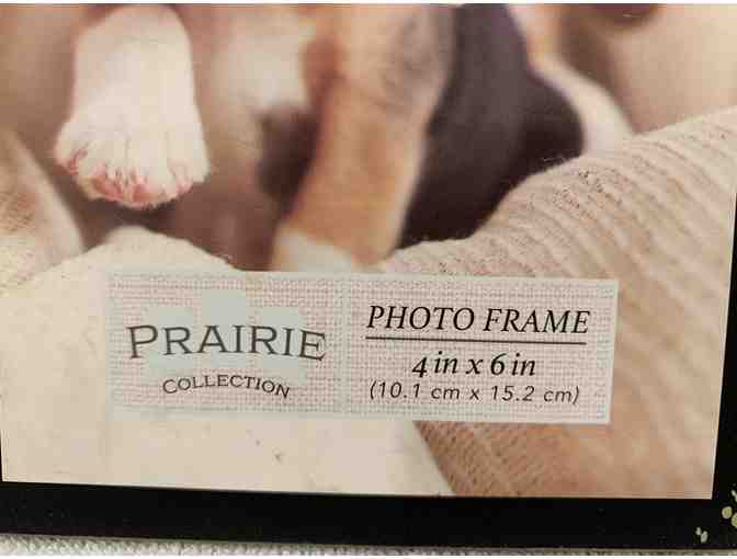 Picture Frame - 'My Kids Have Paws'