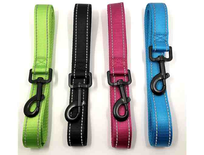 Doxinmotion Reflective Harness and Leash Set - EXTRA SMALL in Blue!