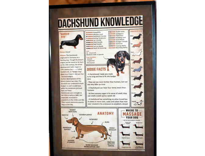 Framed Dachshund Plaque 'ready to hang