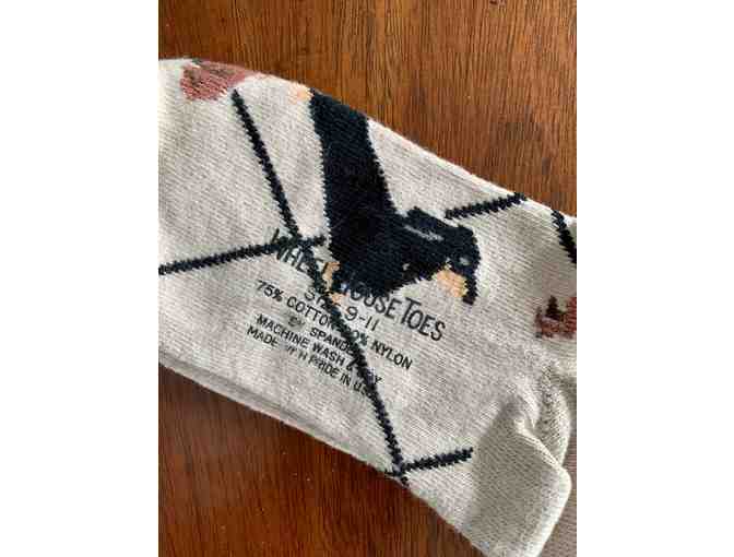 Socks! Wheelhouse brand Beige Dachshund Socks made in the USA! Sock size 9-11 (Medium)