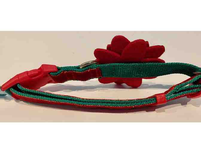 Poinsettia Dog Collar Merry and Bright Collection - Medium Neck Size 14 to 20'
