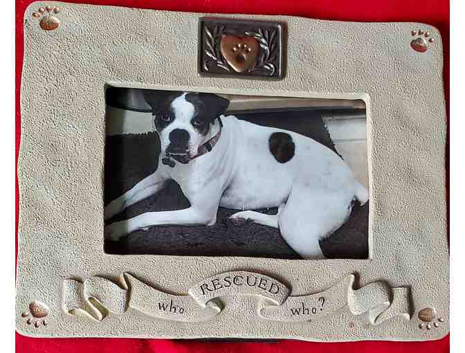 Dog Picture Frame 'Who Rescued Who'!!
