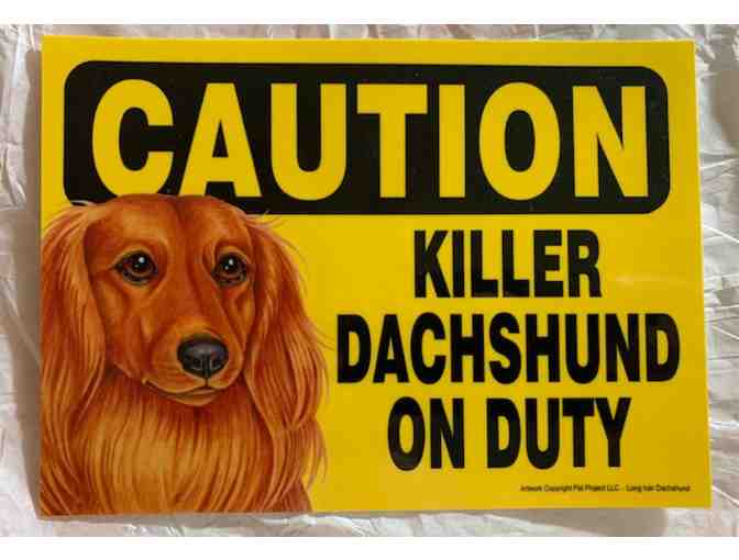 Vinyl Plaque - Caution Killer Dachshund on Duty - Long Hair - Only One Available!