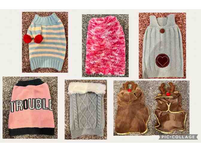Instant Dog Sweater Wardrobe! Size Small/Extra Small - Gently used if at all - 6 Sweaters