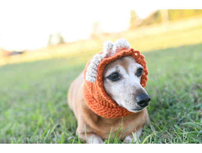 Adorable Hand knitted 12' Dog Hat/Snood that's a Pumpkin with a 'Stem and Vines'!