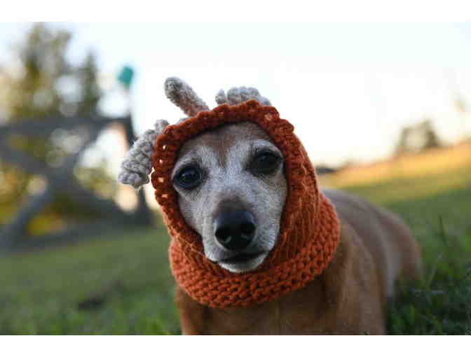 Adorable Hand knitted 12' Dog Hat/Snood that's a Pumpkin with a 'Stem and Vines'!