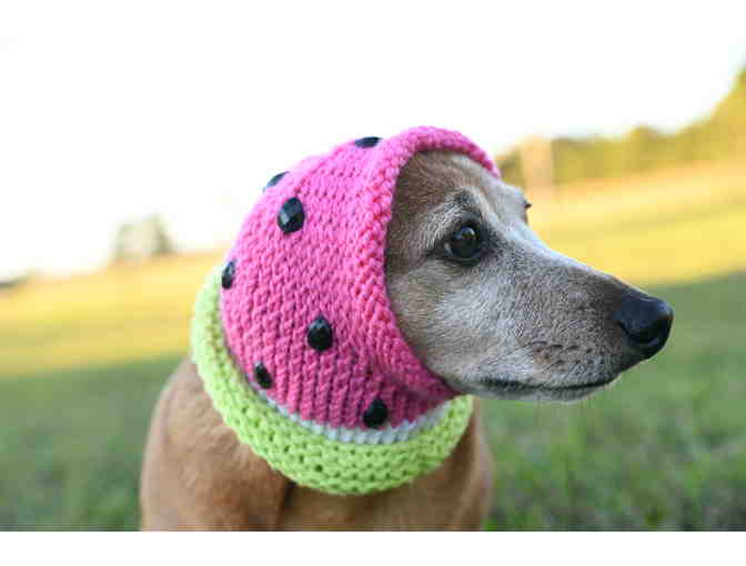 Adorable Hand Knitted 11' Watermelon Dog Hat/Snood with 'Watermelon Seeds'!